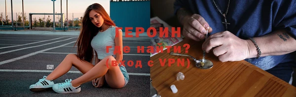 индика Каменногорск