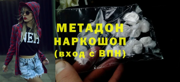 индика Каменногорск