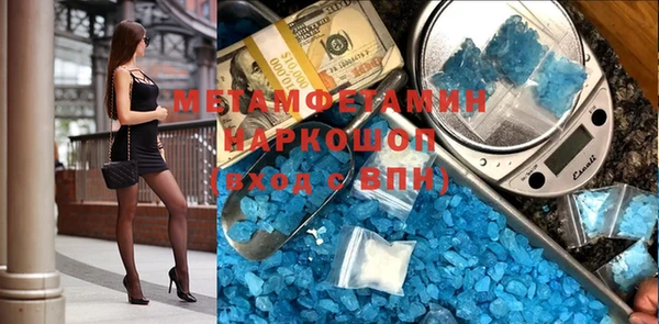 индика Каменногорск