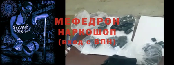 индика Каменногорск