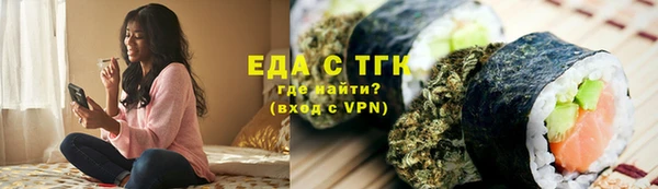 индика Каменногорск