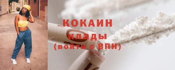индика Каменногорск