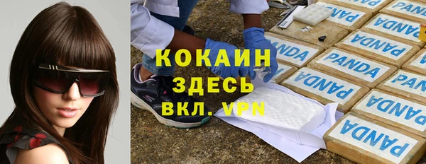 индика Каменногорск