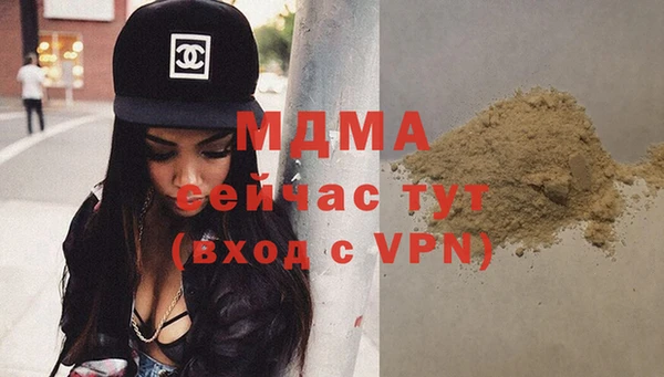 индика Каменногорск