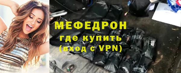индика Каменногорск
