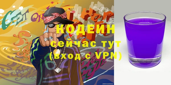 индика Каменногорск