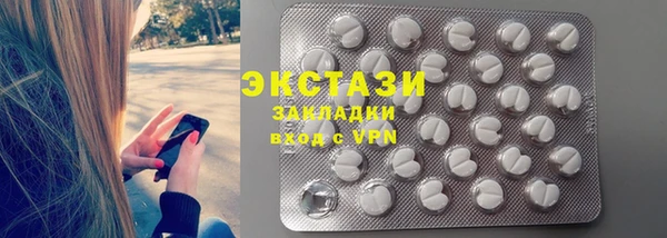 индика Каменногорск