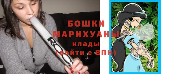 индика Каменногорск