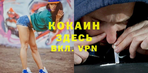 индика Каменногорск