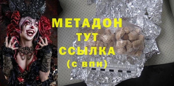 индика Каменногорск