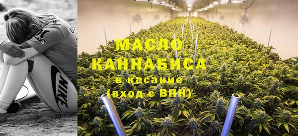 индика Каменногорск