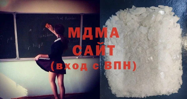 индика Каменногорск