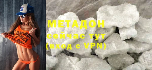 индика Каменногорск